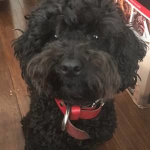 Meet your Posher, Aswy